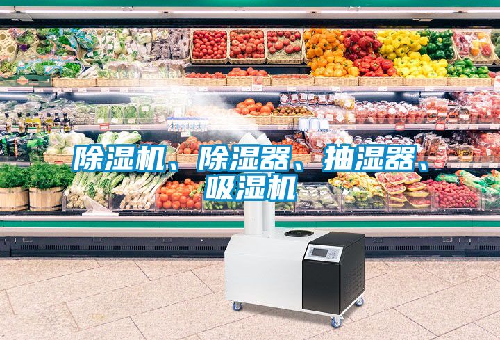 除濕機(jī)、除濕器、抽濕器、吸濕機(jī)