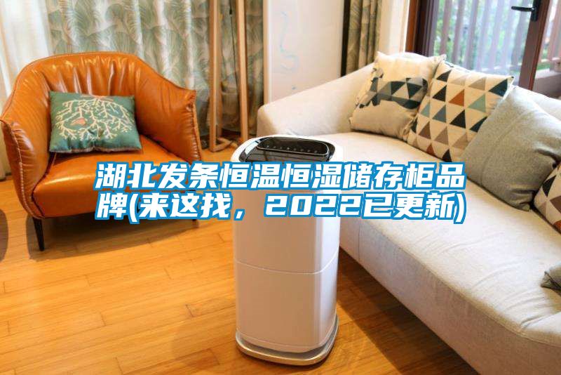 湖北發(fā)條恒溫恒濕儲存柜品牌(來這找，2022已更新)