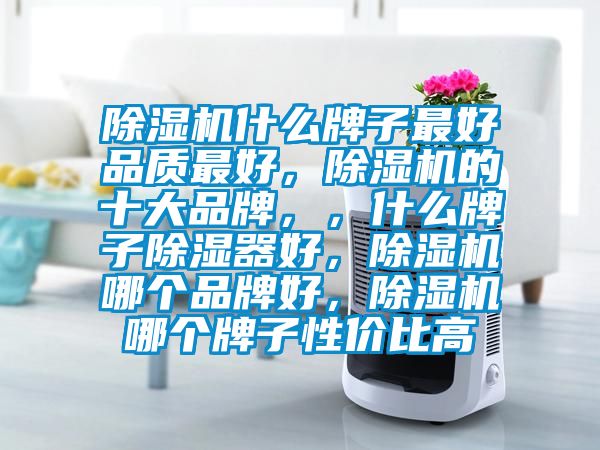 除濕機(jī)什么牌子最好品質(zhì)最好，除濕機(jī)的十大品牌，，什么牌子除濕器好，除濕機(jī)哪個(gè)品牌好，除濕機(jī)哪個(gè)牌子性價(jià)比高