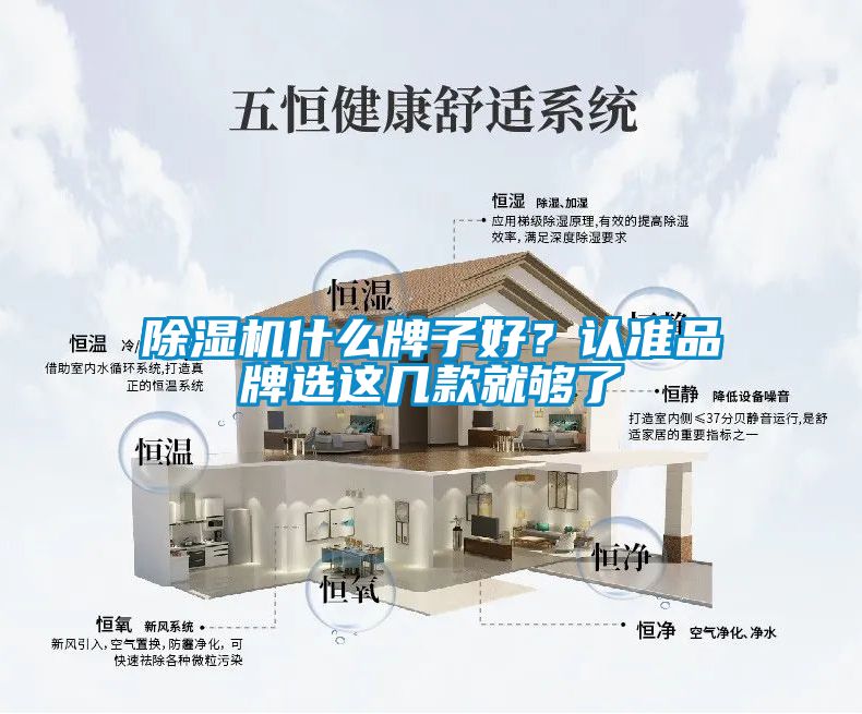 除濕機(jī)什么牌子好？認(rèn)準(zhǔn)品牌選這幾款就夠了