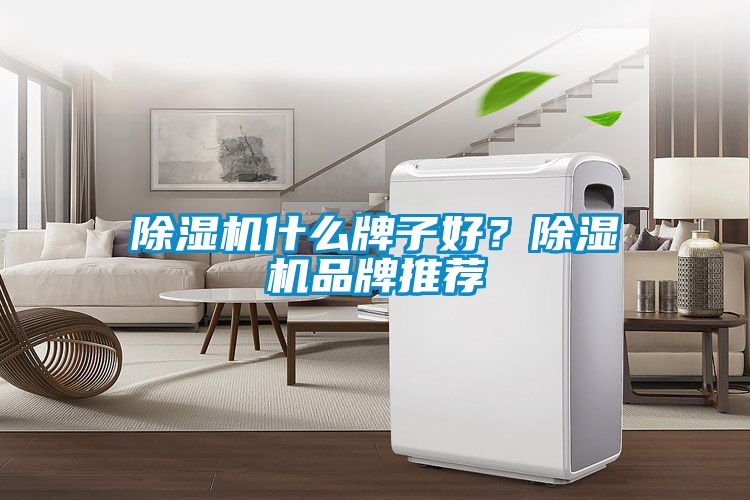 除濕機什么牌子好？除濕機品牌推薦