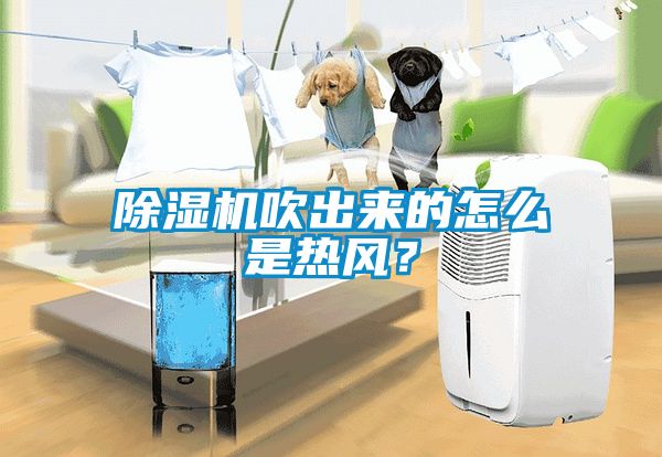 除濕機(jī)吹出來的怎么是熱風(fēng)？