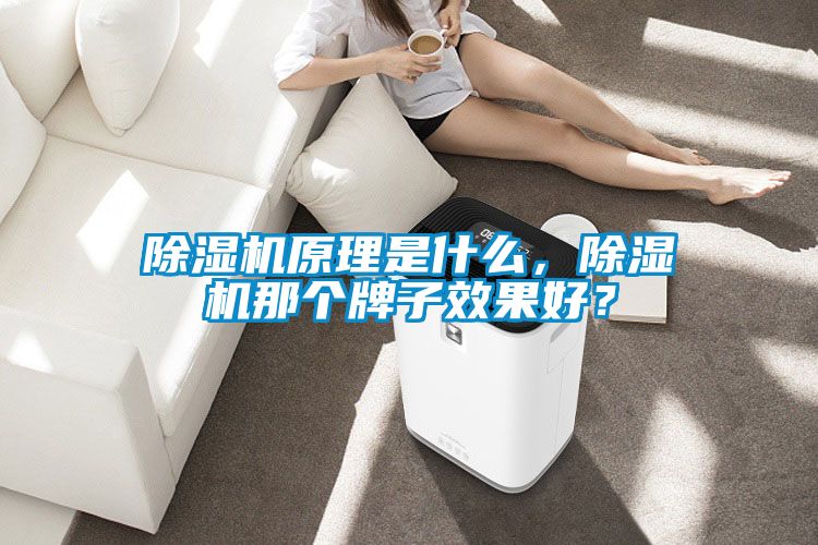 除濕機原理是什么，除濕機那個牌子效果好？