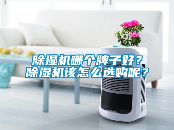 除濕機哪個牌子好？除濕機該怎么選購呢？
