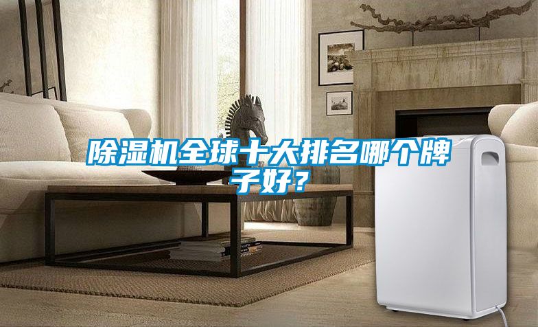 除濕機(jī)全球十大排名哪個牌子好？