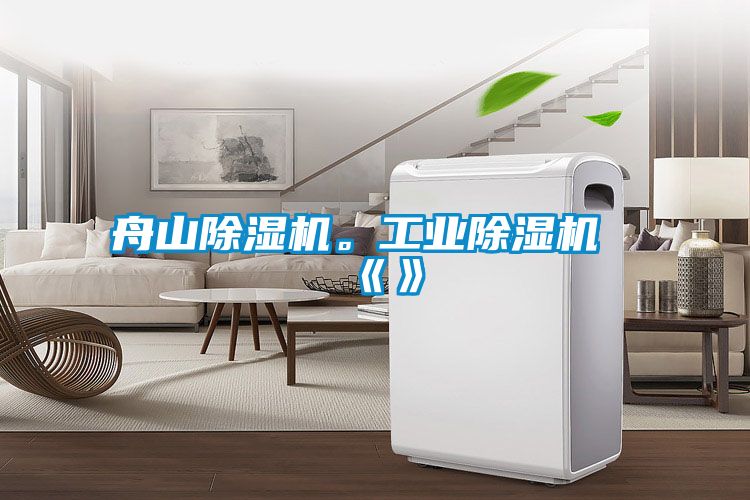 舟山除濕機(jī)。工業(yè)除濕機(jī)《》