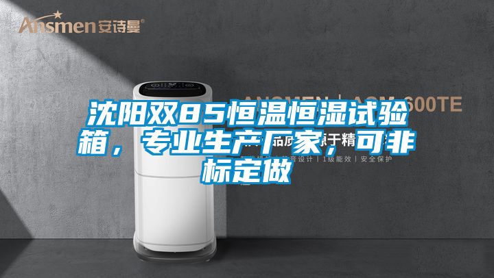 沈陽雙85恒溫恒濕試驗箱，專業(yè)生產廠家，可非標定做