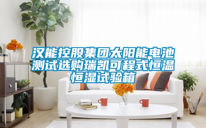漢能控股集團(tuán)太陽能電池測(cè)試選購(gòu)瑞凱可程式恒溫恒濕試驗(yàn)箱