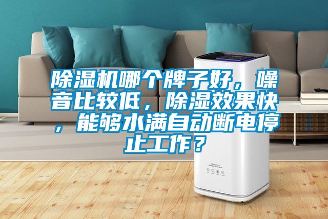 除濕機哪個牌子好，噪音比較低，除濕效果快，能夠水滿自動斷電停止工作？