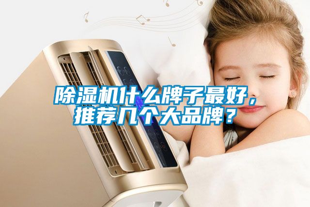 除濕機什么牌子最好，推薦幾個大品牌？
