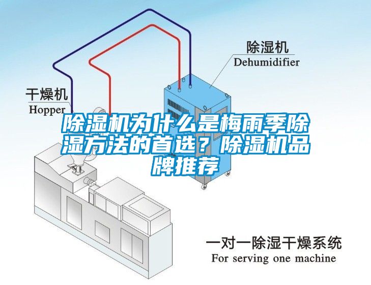 除濕機為什么是梅雨季除濕方法的首選？除濕機品牌推薦