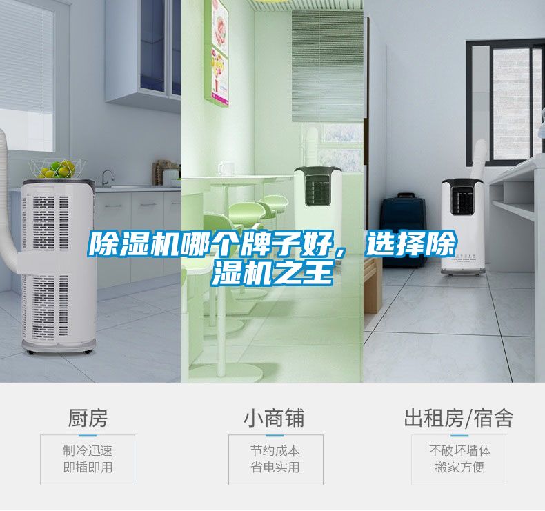 除濕機(jī)哪個(gè)牌子好，選擇除濕機(jī)之王