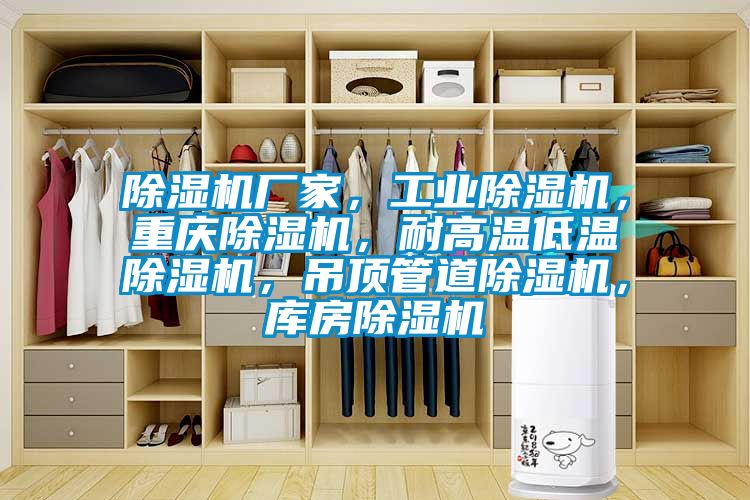 除濕機(jī)廠家，工業(yè)除濕機(jī)，重慶除濕機(jī)，耐高溫低溫除濕機(jī)，吊頂管道除濕機(jī)，庫(kù)房除濕機(jī)