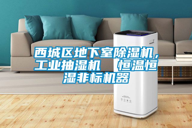 西城區(qū)地下室除濕機(jī)，工業(yè)抽濕機(jī)  恒溫恒濕非標(biāo)機(jī)器
