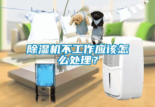 除濕機不工作應(yīng)該怎么處理？