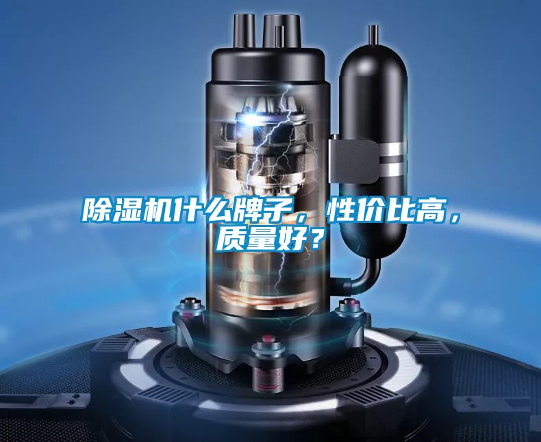 除濕機什么牌子，性價比高，質(zhì)量好？