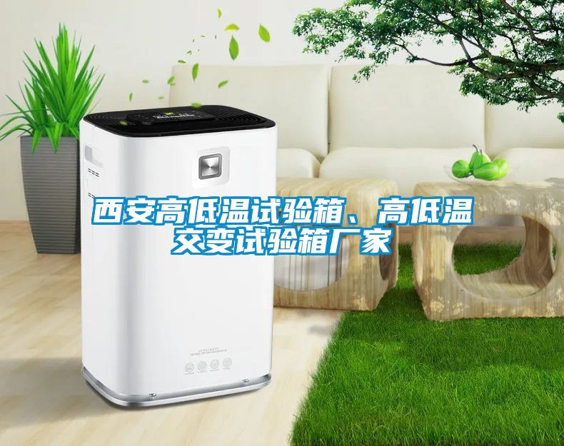 西安高低溫試驗(yàn)箱、高低溫交變?cè)囼?yàn)箱廠家