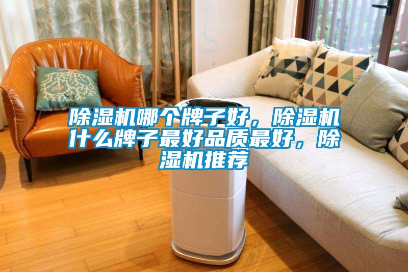 除濕機哪個牌子好，除濕機什么牌子最好品質(zhì)最好，除濕機推薦
