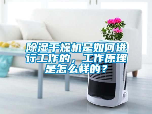 除濕干燥機是如何進行工作的，工作原理是怎么樣的？