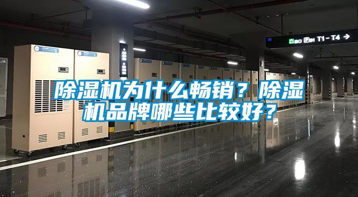 除濕機為什么暢銷？除濕機品牌哪些比較好？
