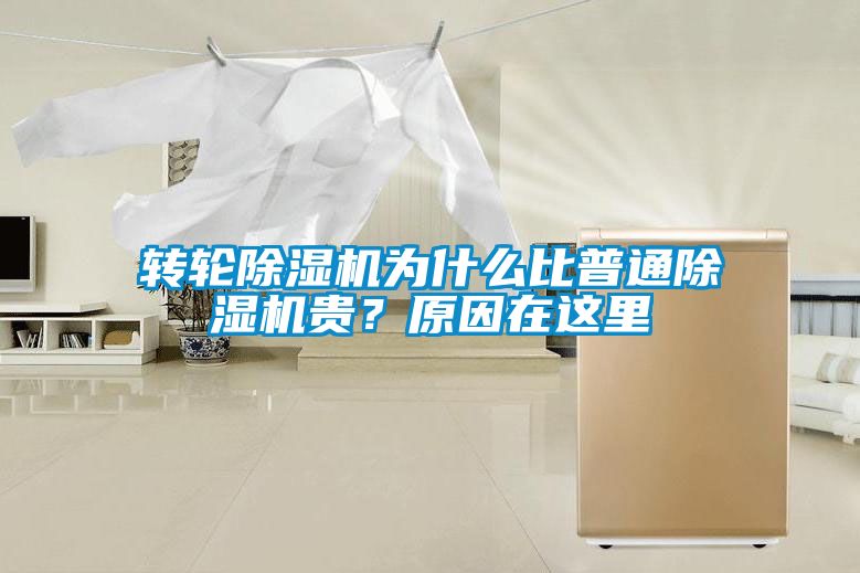 轉(zhuǎn)輪除濕機為什么比普通除濕機貴？原因在這里