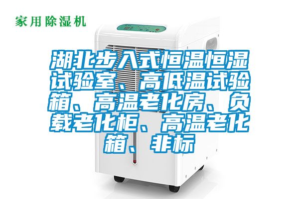 湖北步入式恒溫恒濕試驗室、高低溫試驗箱、高溫老化房、負載老化柜、高溫老化箱、非標