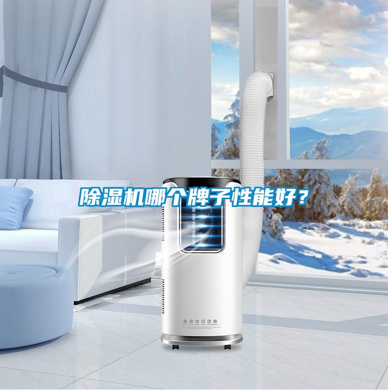 除濕機(jī)哪個牌子性能好？