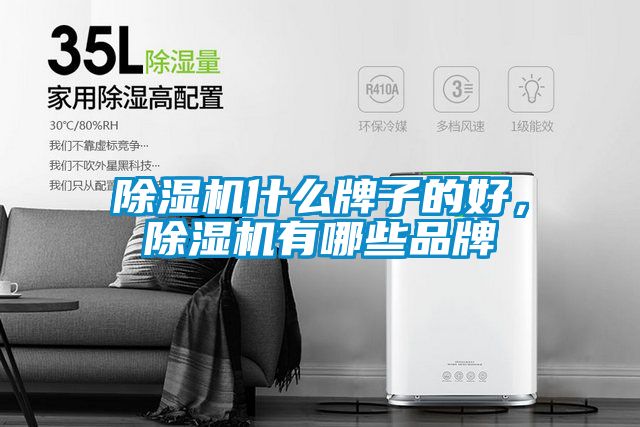除濕機什么牌子的好，除濕機有哪些品牌