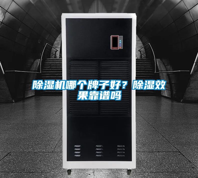 除濕機(jī)哪個(gè)牌子好？除濕效果靠譜嗎