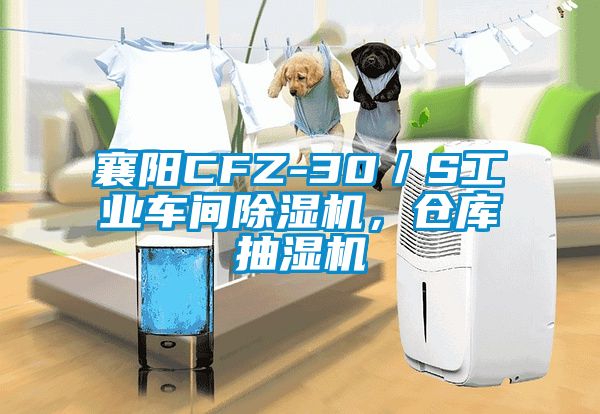 襄陽CFZ-30／S工業(yè)車間除濕機(jī)，倉庫抽濕機(jī)