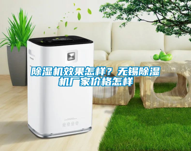 除濕機效果怎樣？無錫除濕機廠家價格怎樣