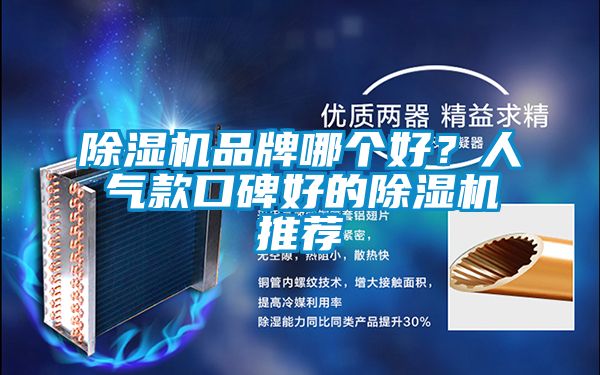除濕機(jī)品牌哪個好？人氣款口碑好的除濕機(jī)推薦