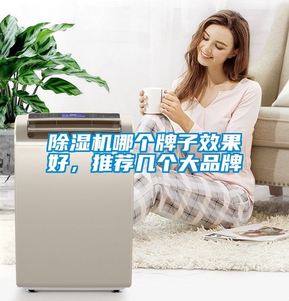 除濕機(jī)哪個(gè)牌子效果好，推薦幾個(gè)大品牌
