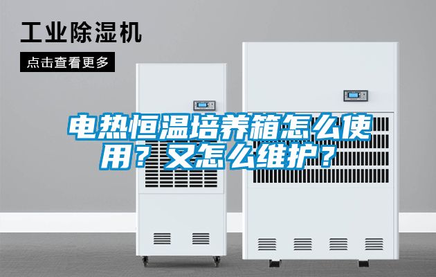 電熱恒溫培養(yǎng)箱怎么使用？又怎么維護(hù)？