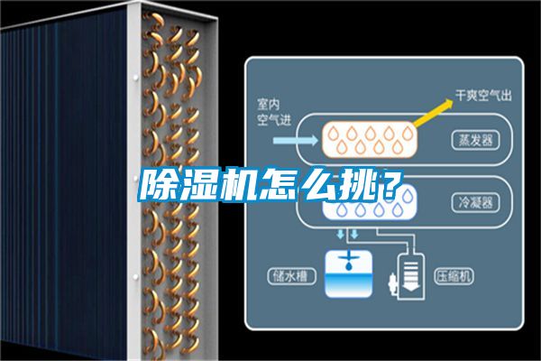 除濕機(jī)怎么挑？