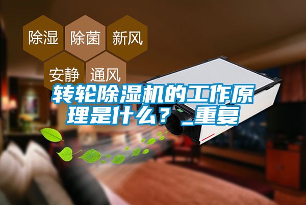 轉(zhuǎn)輪除濕機(jī)的工作原理是什么？_重復(fù)