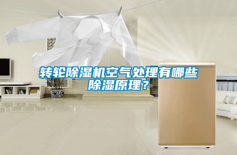 轉(zhuǎn)輪除濕機空氣處理有哪些除濕原理？