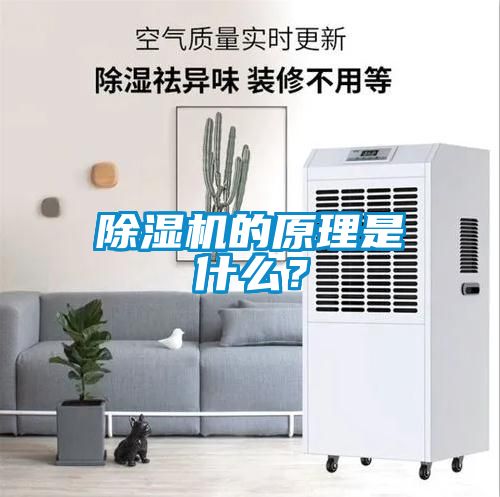 除濕機(jī)的原理是什么？