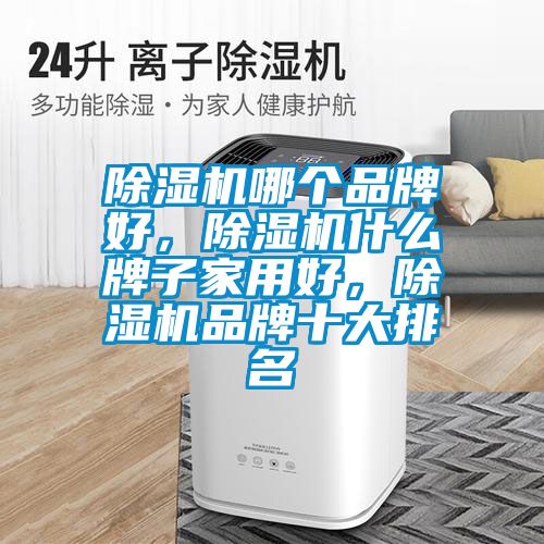 除濕機(jī)哪個(gè)品牌好，除濕機(jī)什么牌子家用好，除濕機(jī)品牌十大排名