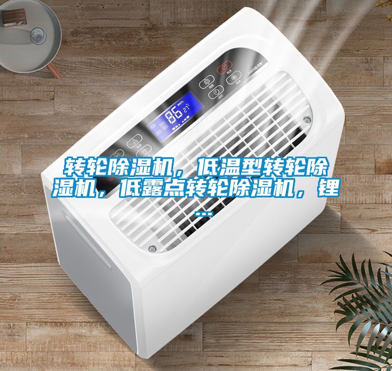 轉(zhuǎn)輪除濕機，低溫型轉(zhuǎn)輪除濕機，低露點轉(zhuǎn)輪除濕機，鋰 ...