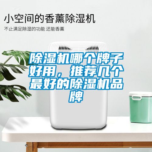 除濕機哪個牌子好用，推薦幾個最好的除濕機品牌