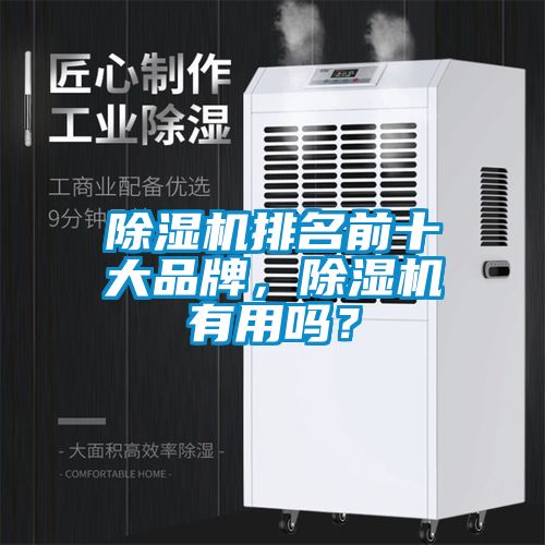 除濕機排名前十大品牌，除濕機有用嗎？