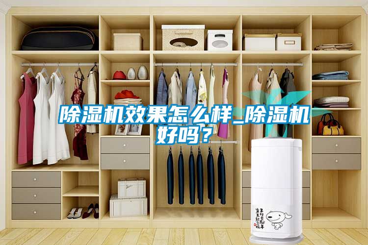 除濕機(jī)效果怎么樣_除濕機(jī)好嗎？