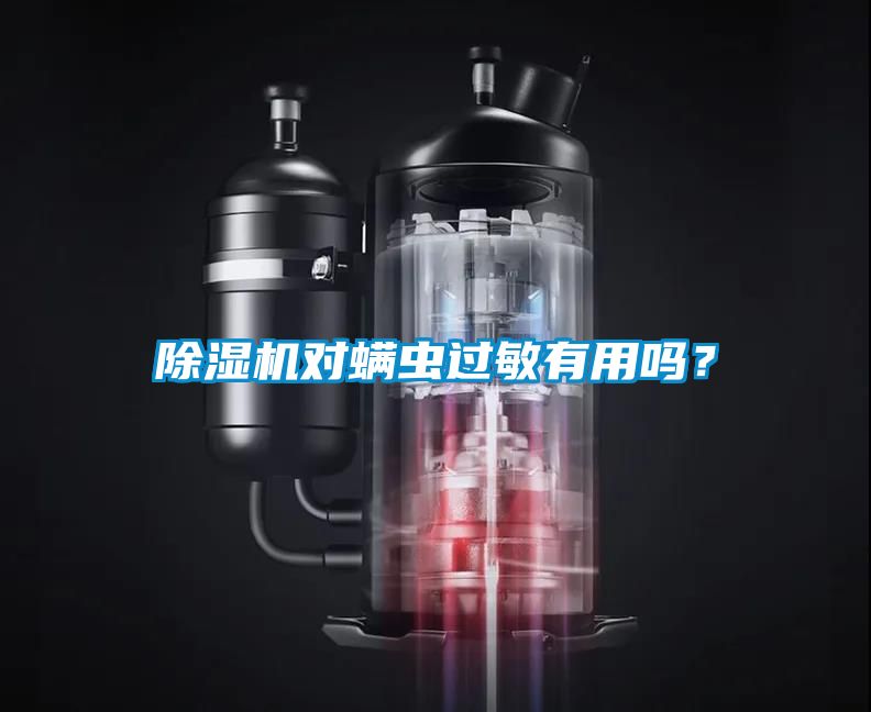 除濕機(jī)對(duì)螨蟲過(guò)敏有用嗎？