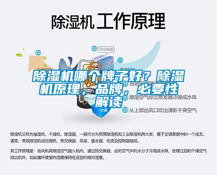 除濕機(jī)哪個(gè)牌子好？除濕機(jī)原理，品牌，必要性解讀