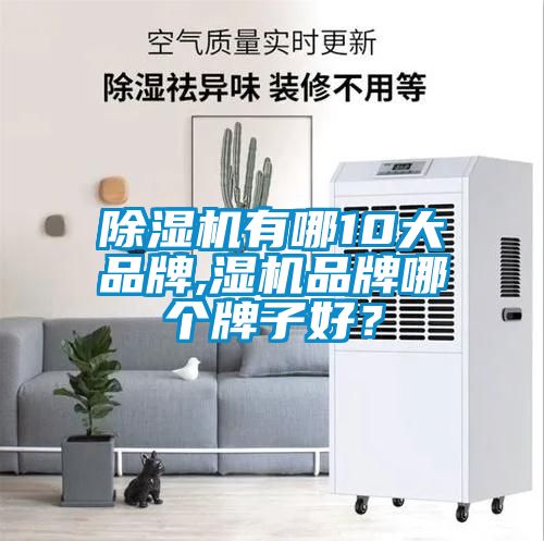 除濕機(jī)有哪10大品牌,濕機(jī)品牌哪個(gè)牌子好？