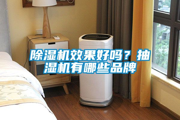 除濕機效果好嗎？抽濕機有哪些品牌