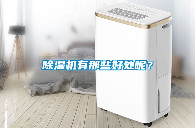 除濕機(jī)有那些好處呢？