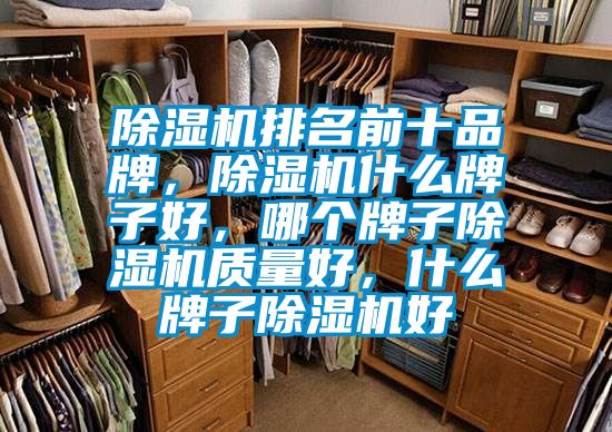 除濕機排名前十品牌，除濕機什么牌子好，哪個牌子除濕機質(zhì)量好，什么牌子除濕機好