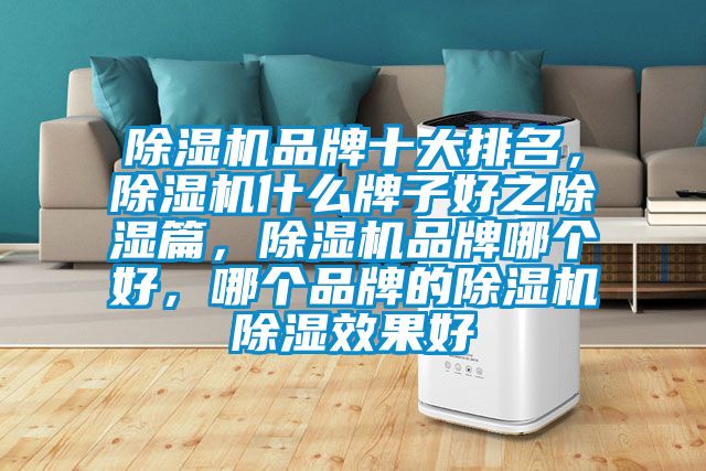 除濕機(jī)品牌十大排名，除濕機(jī)什么牌子好之除濕篇，除濕機(jī)品牌哪個(gè)好，哪個(gè)品牌的除濕機(jī)除濕效果好